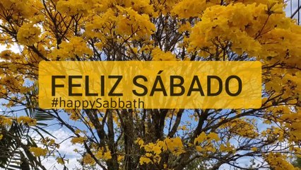 520 Saudade - Novo Hinário Adventista - Feliz Sábado