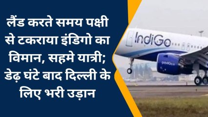 लैंड करते समय पक्षी से टकराया इंडिगो का यात्री विमान, बड़ा हादसा टला