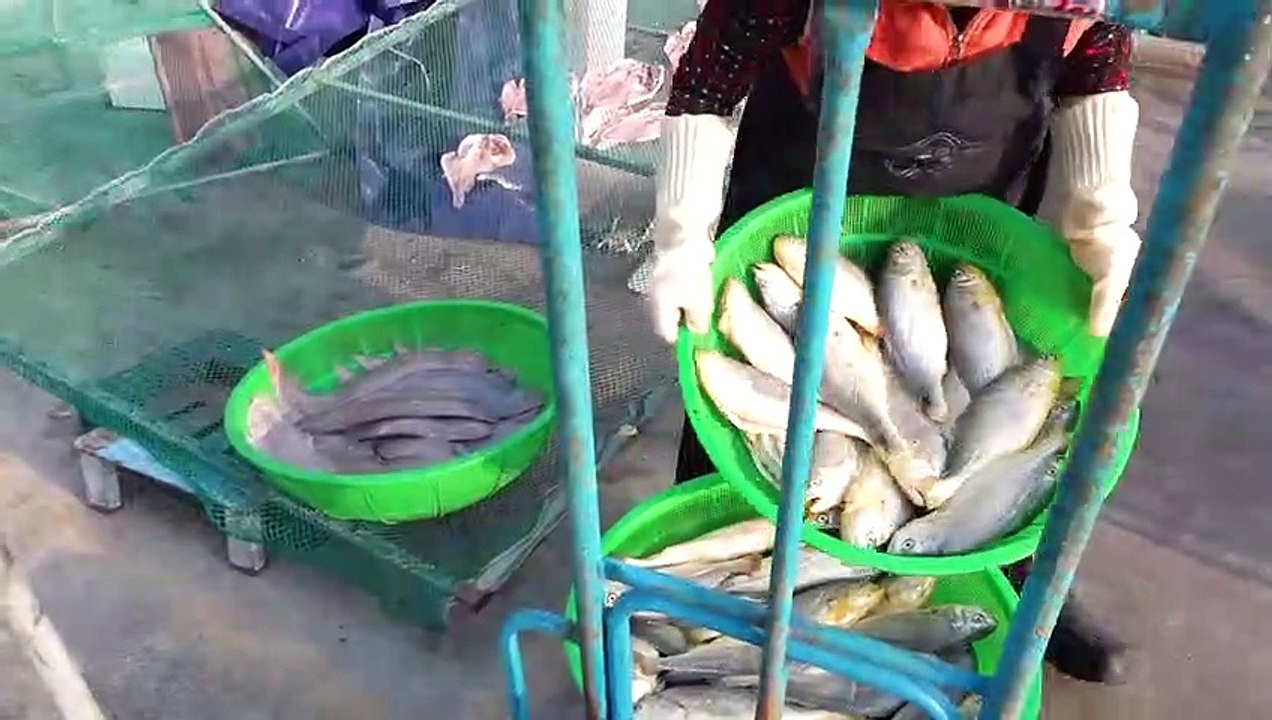 Amazing Charcoal Grilled Fish Process by Grilled Fish Master - Korean street food