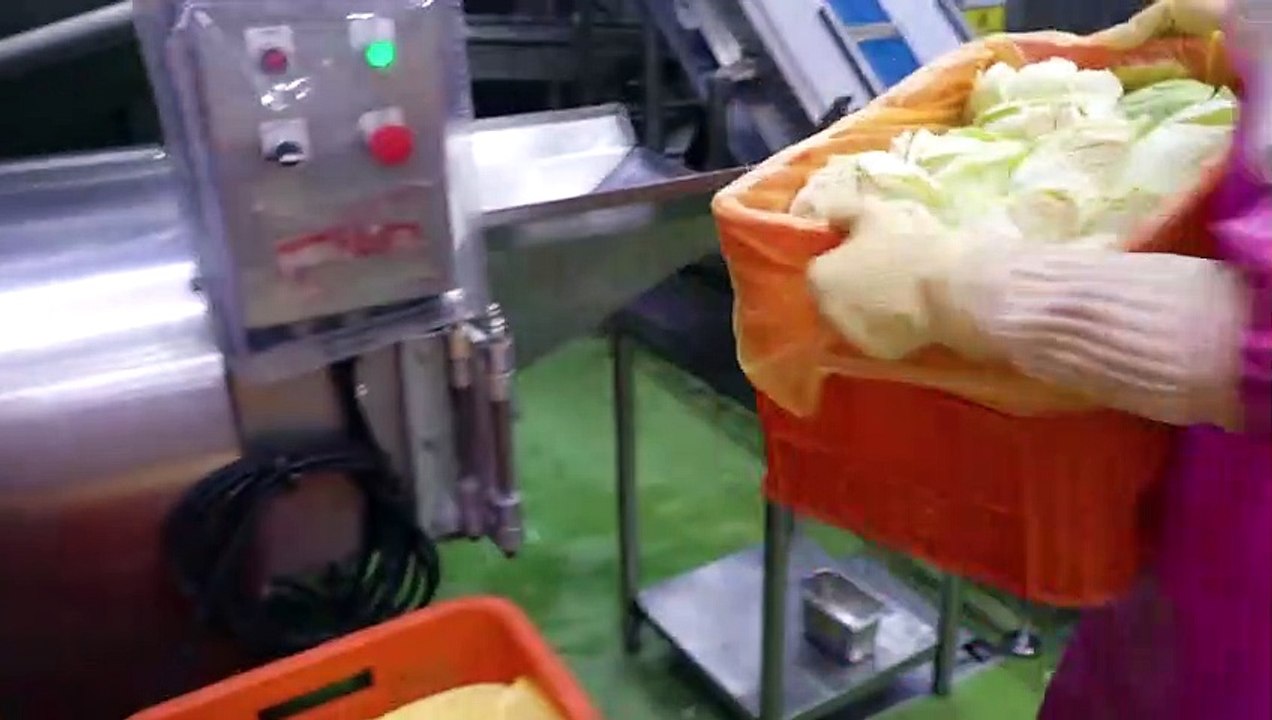 만두공장 Amazing mass production - Daily 20 tons - Dumpling making process