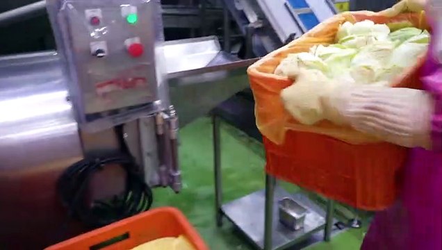 만두공장 Amazing mass production - Daily 20 tons - Dumpling making process