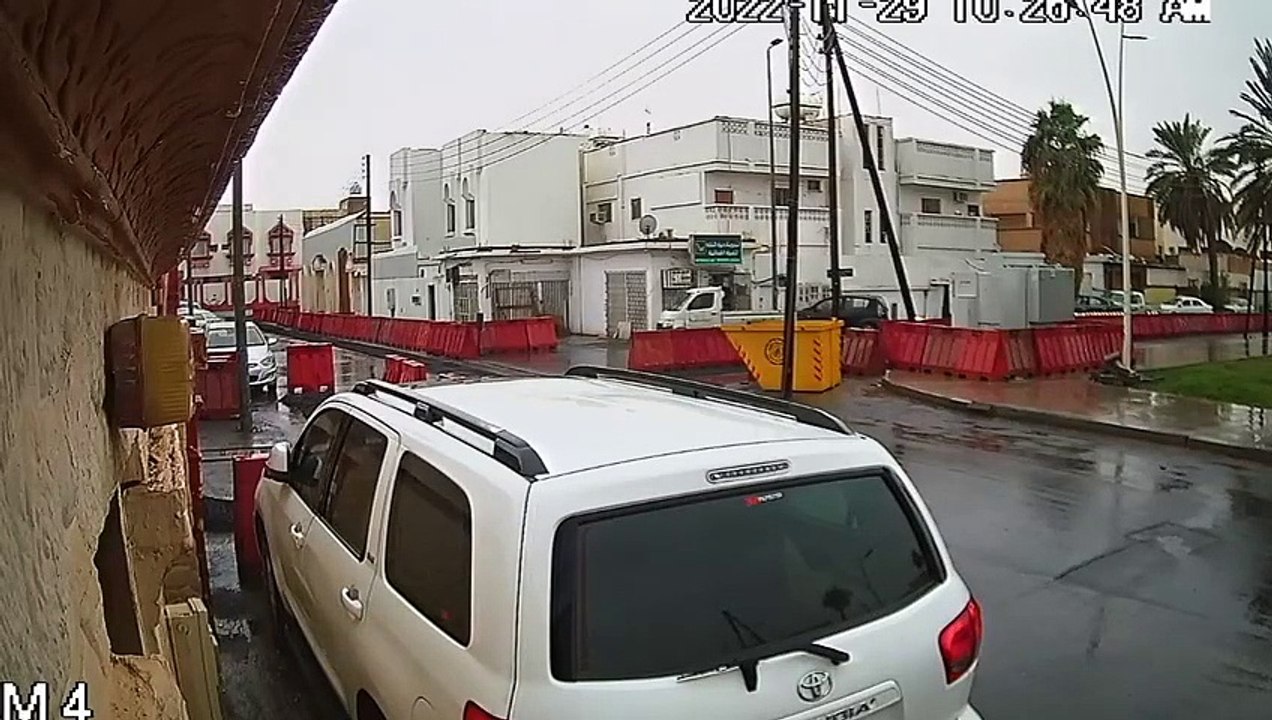 Rain Ruins a Cat's Jump