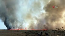 Çatalca'da buğday tarlasında yangın paniği