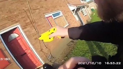 American XL Bully attacks police