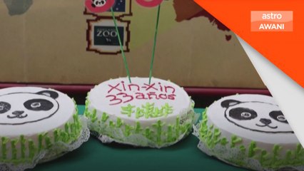 Xin Xin sambut ulang tahun ke-33 dengan kek epal