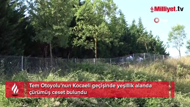 Tem Otoyolu’nun Kocaeli geçişinde yeşillik alanda çürümüş ceset bulundu