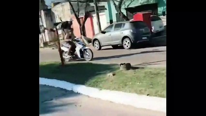 Ce gars en scooter vous garanti des sensations fortes à l'arrière