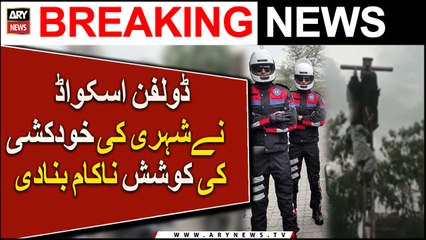 Dolphin Squad thwarted citizen's suicide attempt