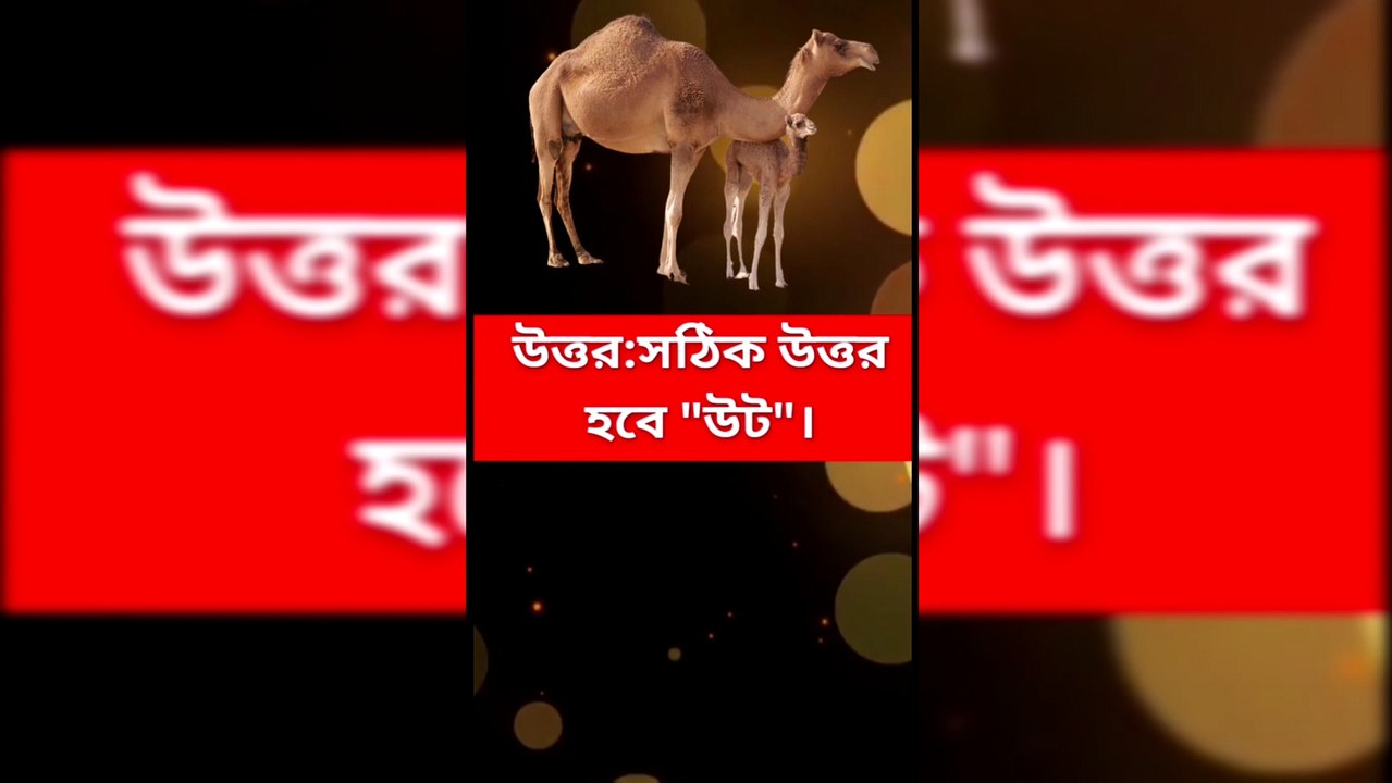 Learning Time BD সাধারণ জ্ঞান General knowledge Bangla Quiz Bangla-Part=26