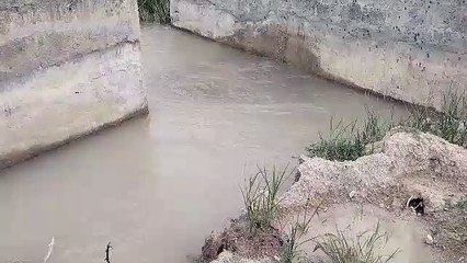 जयपुर-बीसलपुर की 2300 एमएम की लाइन में  सूरजपुरा के पास आया लीकेज,खेत पानी में डूबे,देखें इस विडियो को