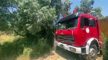 Un incendie s'est déclaré dans l'oliveraie, la cabane et de nombreux arbres se sont transformés en cendres