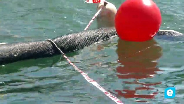 Un mort i varis ferits en un accident amb dos cotxes que cauen a un canal d’Empuriabrava