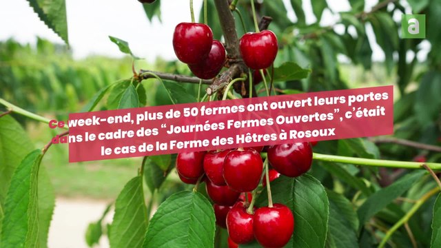 Week-end coulisses à la Ferme des Hêtres à Rosoux