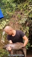 Tiere Die Einfach Viel Zu Groß Sind 2