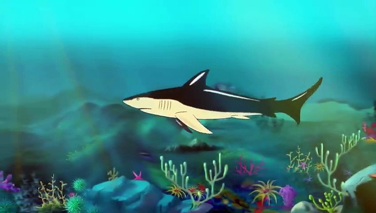 Warum Sich Haie In 400 Millionen Jahren Kaum Verändert Haben