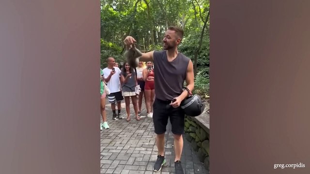 Laugh a Lot With The Funny Moments Of Monkeys Funniest Animals Video(1080P_HD)