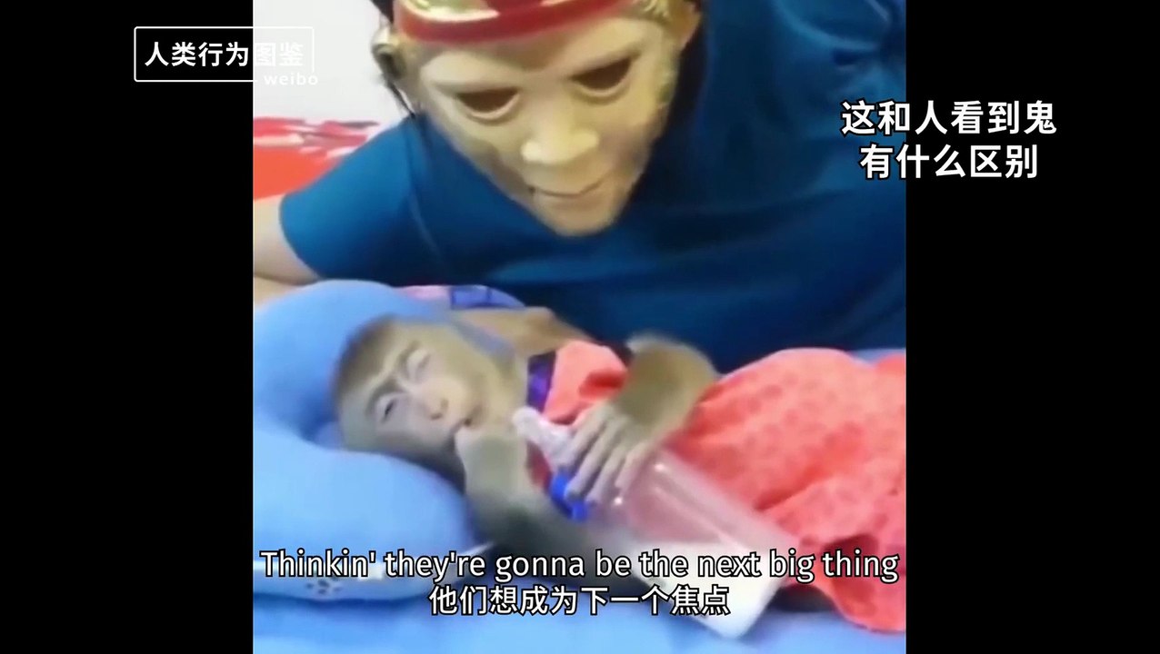 Abnormal Monkeys(1080P_HD)