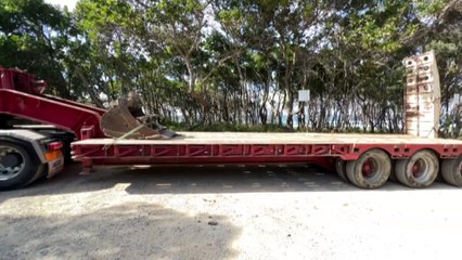 Beached whale burial prompts safety concerns