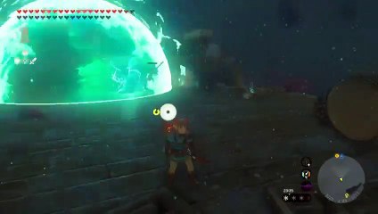 [ZELDA TEARS OF THE KINGDOM] - Dommage collatéral