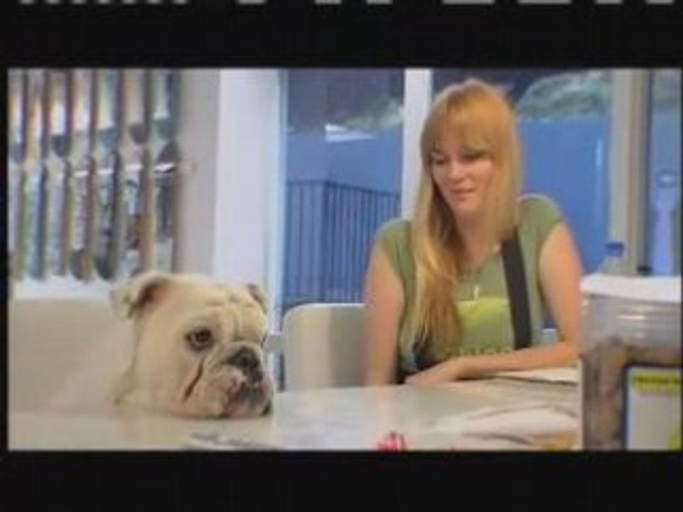 Rob and Big- Meaty Party Planner