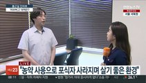 [출근길 인터뷰] 도심 점령한 '러브버그' 대책은?