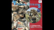 Vietnam Veterans – Catfish Eyes And Tales Rock, Psychedelic Rock, Garage Rock 1987