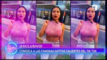 Gatitas: la nueva sensación del tiktok