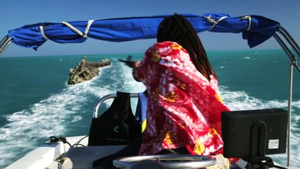 Poséidon Rex | movie | 2014 | Official Trailer