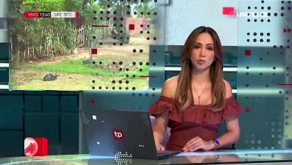 “Gritó que no tenía para comer”: Una bebé fue abandonada en puertas de un domicilio en Santa Cruz