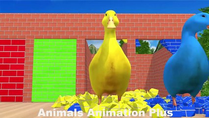 4 Giant Duck Cartoon_Tiger_Cow_rabbit_Gorilla_Hamsters_Dog_Cat Wild Animals Crossing Fountain 2023(720P_HD)