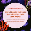 |MANUEL OBRADORS| EXPLOSIÓN DE MEDUSAS ‘HUEVO FRITO‘ EN EL MAR MENOR (PARTE 1) (@MANUELOBRADORS)