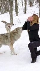 GIRL HOWLS WITH GIANT WOLVES