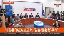 IAEA보고서 결과 공개 목전…정치권 여론전 가열