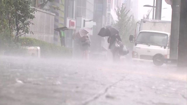 [날씨] 전국 폭염특보 속 무더위 기승...내일 다시 전국 장맛비 / YTN