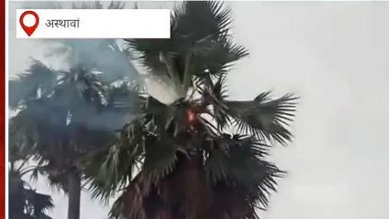 BREAKING: नालंदा में दो ताड़ के पेड़ों पर गिरा आकाशीय बिजली, धू-धू कर जला ताड़ का पेड़