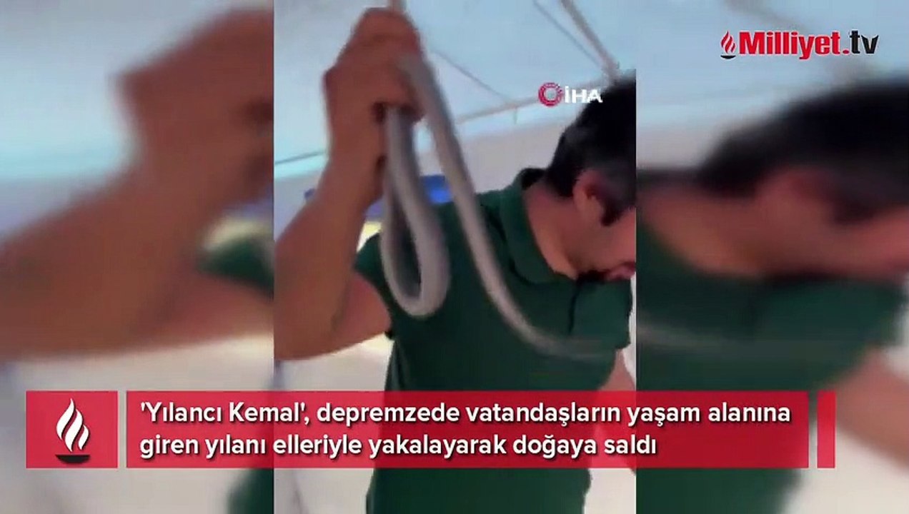 Elleriyle yakaladığı yılanı, ‘insanlardan uzak dur’ diyerek doğaya saldı