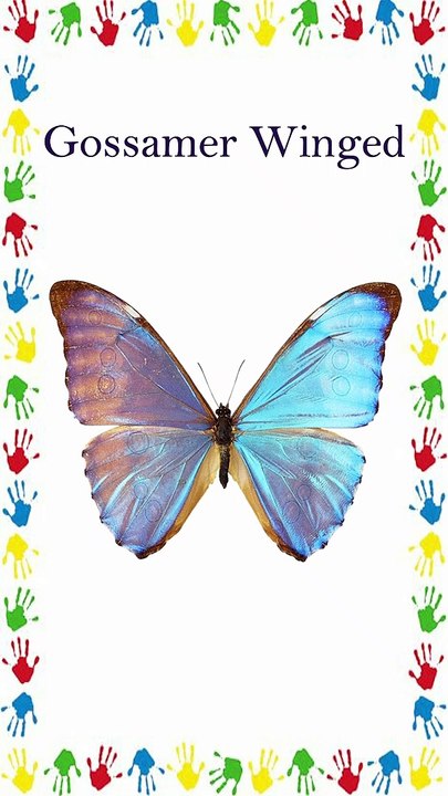 Butterflies Name | तितली के नाम | Types of Butterflies | Kids Education | Video for Kids | #shorts