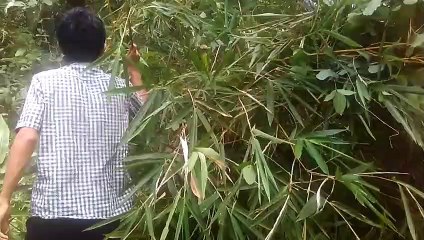 This Little Bamboo Will Help Me at This Time in The Process of Shooting a Video