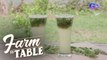 How to Make Basil Zing | Farm To Table
