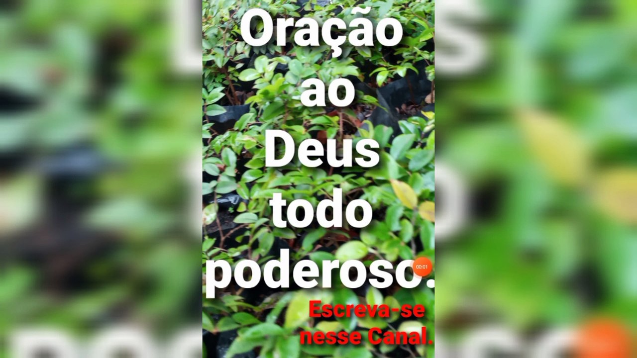 Oração ao Deus todo poderoso. O Senhor Jesus Cristo garante a Vitória.