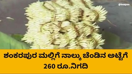ಶುಭ ಕಾರ್ಯಗಳಿಲ್ಲದೆ ಮುಂಕಾದ ಮಲ್ಲಿಗೆ ದರ! ಇಂದಿನ ರೇಟ್ ಹೀಗಿದೆ ನೋಡಿ
