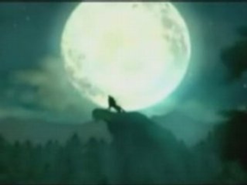 The legend of Zelda:Twilight princess par revolman