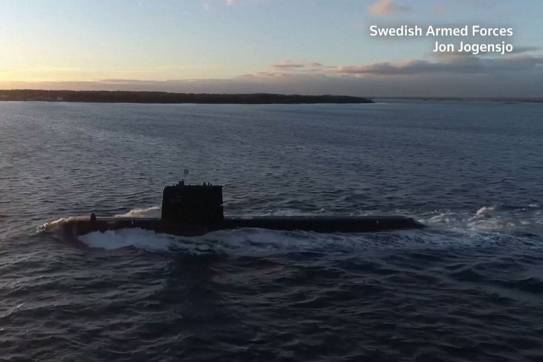 What Sweden and Finland bring to NATO