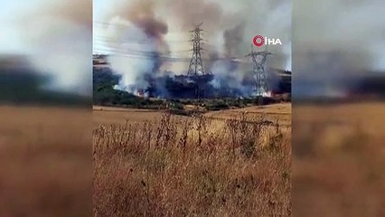1 hectare de terres agricoles a été réduit en cendres à Gallipoli