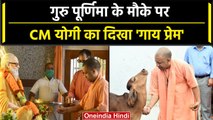 Guru Purnima: Yogi Adityanath का Gorakhnath Temple में दिखा गाय प्रेम | वनइंडिया हिंदी