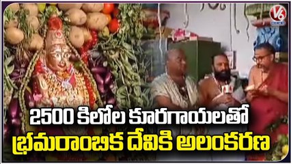 2500 Kilo Vegetables, Fruits Are Decorated To Sri Saila Bramarambhika Devi On Shakamabari Utsavam_V6