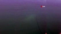 Fırat Nehri'nde 30 kiloluk turna balığı oltaya takıldı