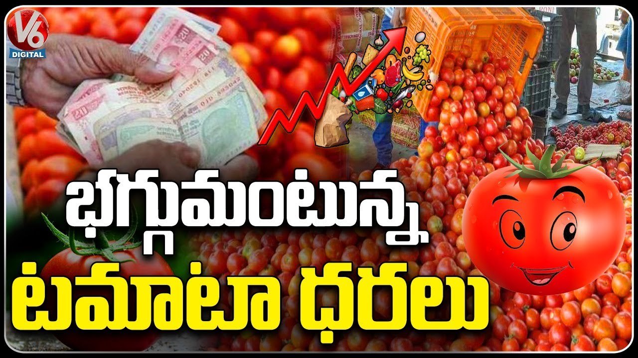 Tomato Price Hike Due To Shortage Of Tomatoes Public Suffer With Hiked Rates  _ V6Digital