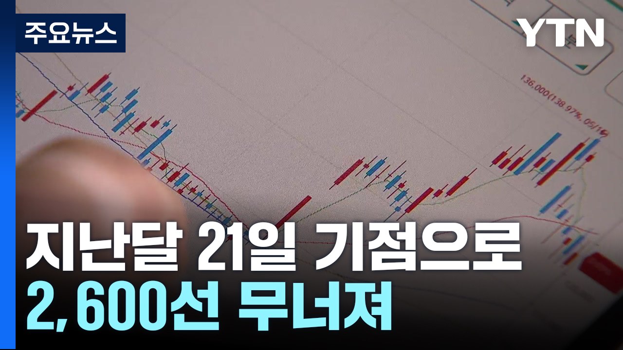 변동성 커진 국내 증시...외국인 매도세 예외 종목은? / YTN