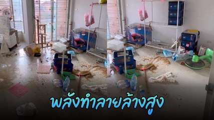 อื้อหือ...แค่หลุดกรง 1 ครั้ง สภาพบ้านพังยังกับเจอแผ่นดินไหว